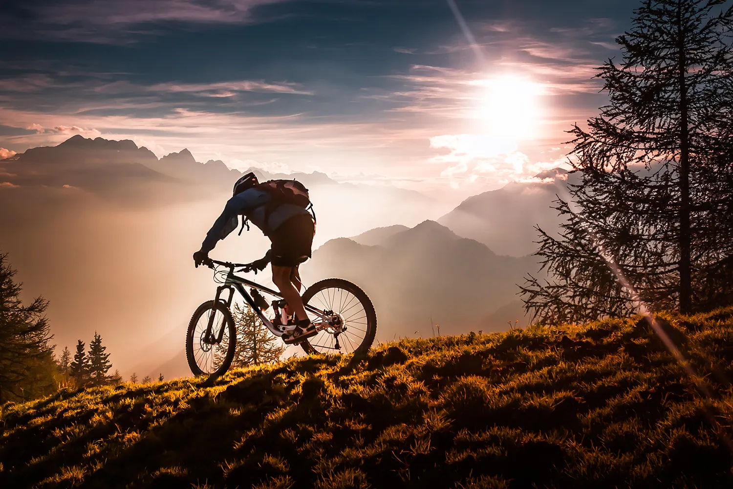 Mountain Biker Riding Down a Trail at Sunset