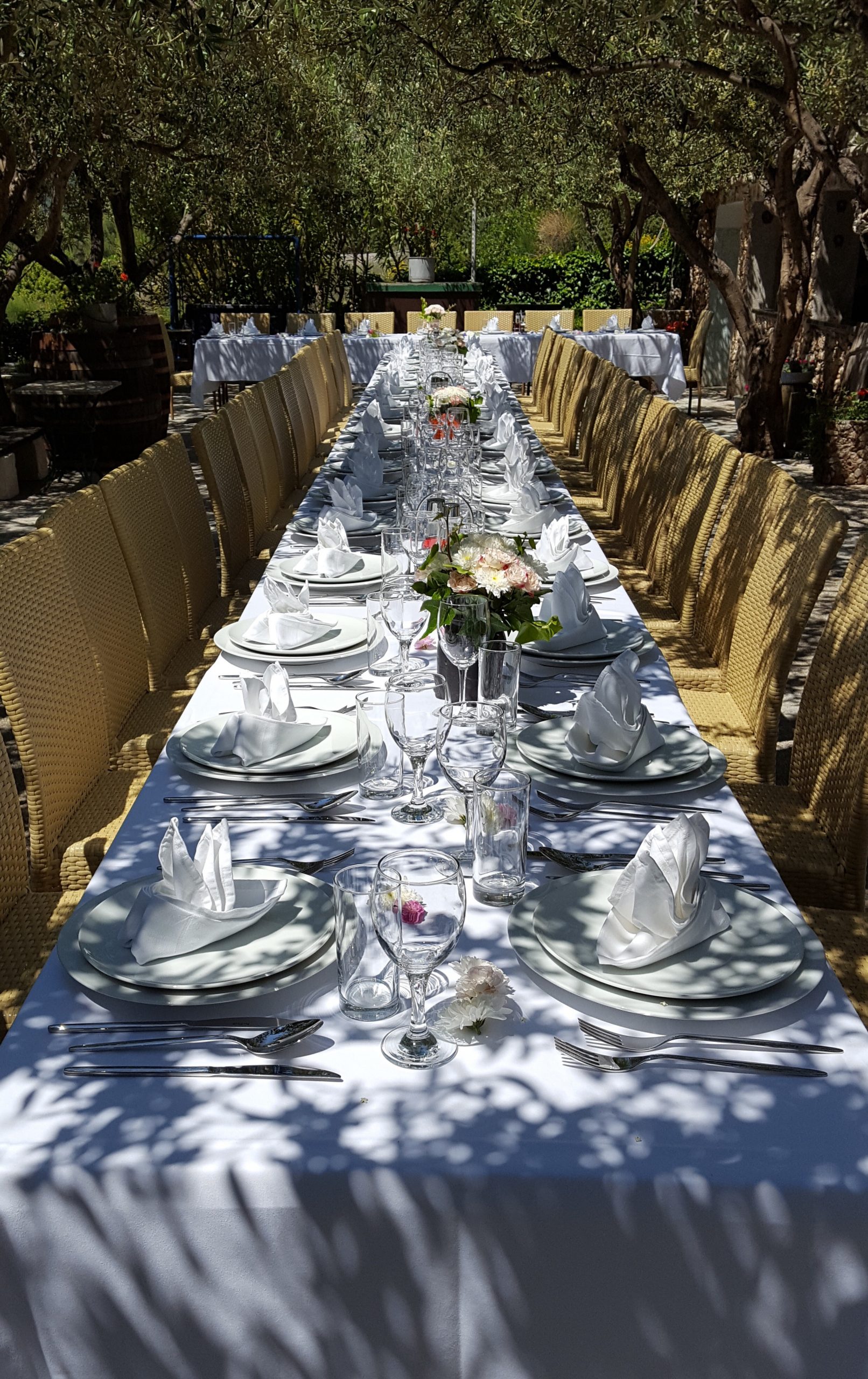 Elegant Outdoor Dining Table Set Among Trees