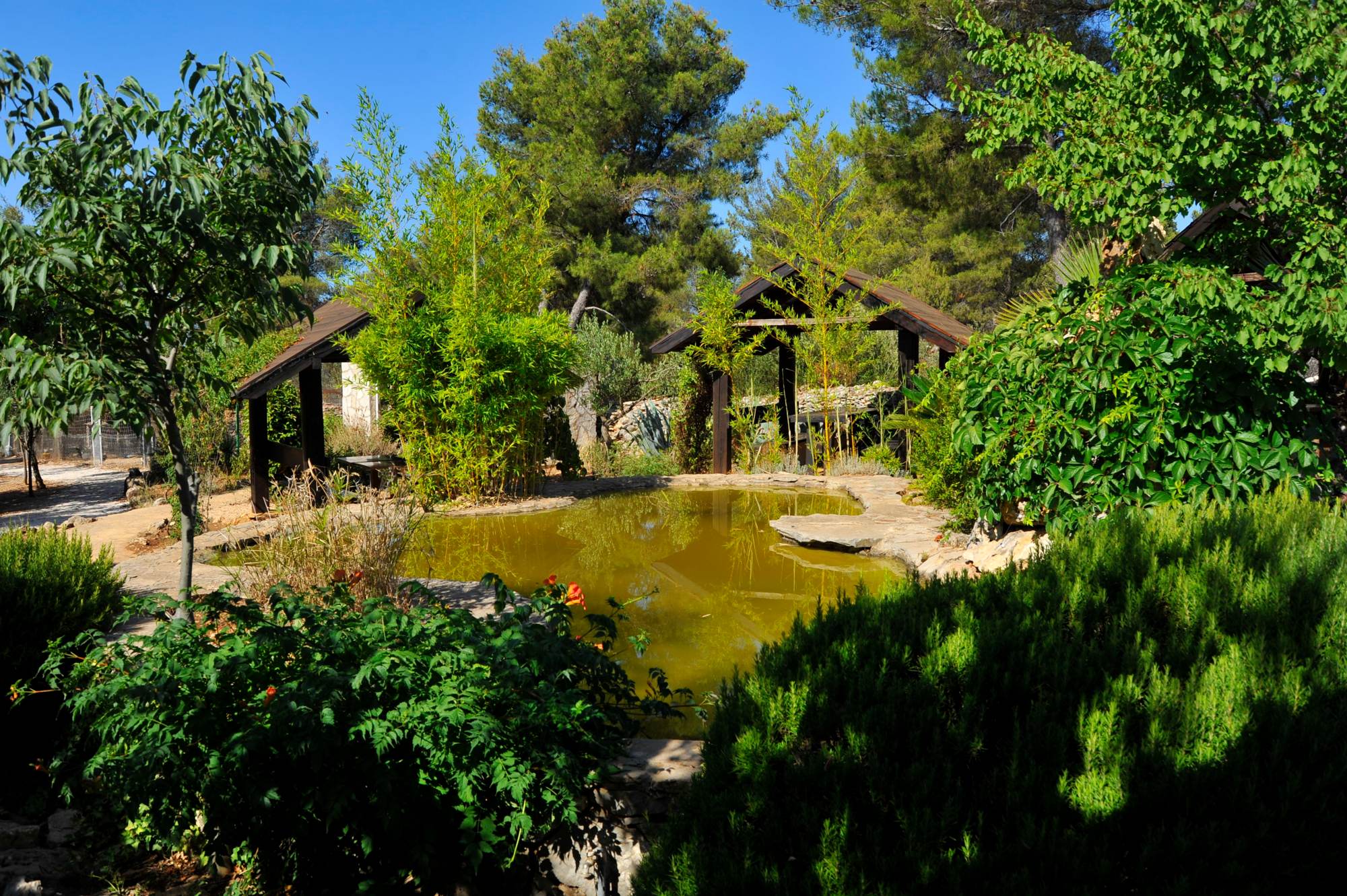 Nature Park Sutivan in Croatia