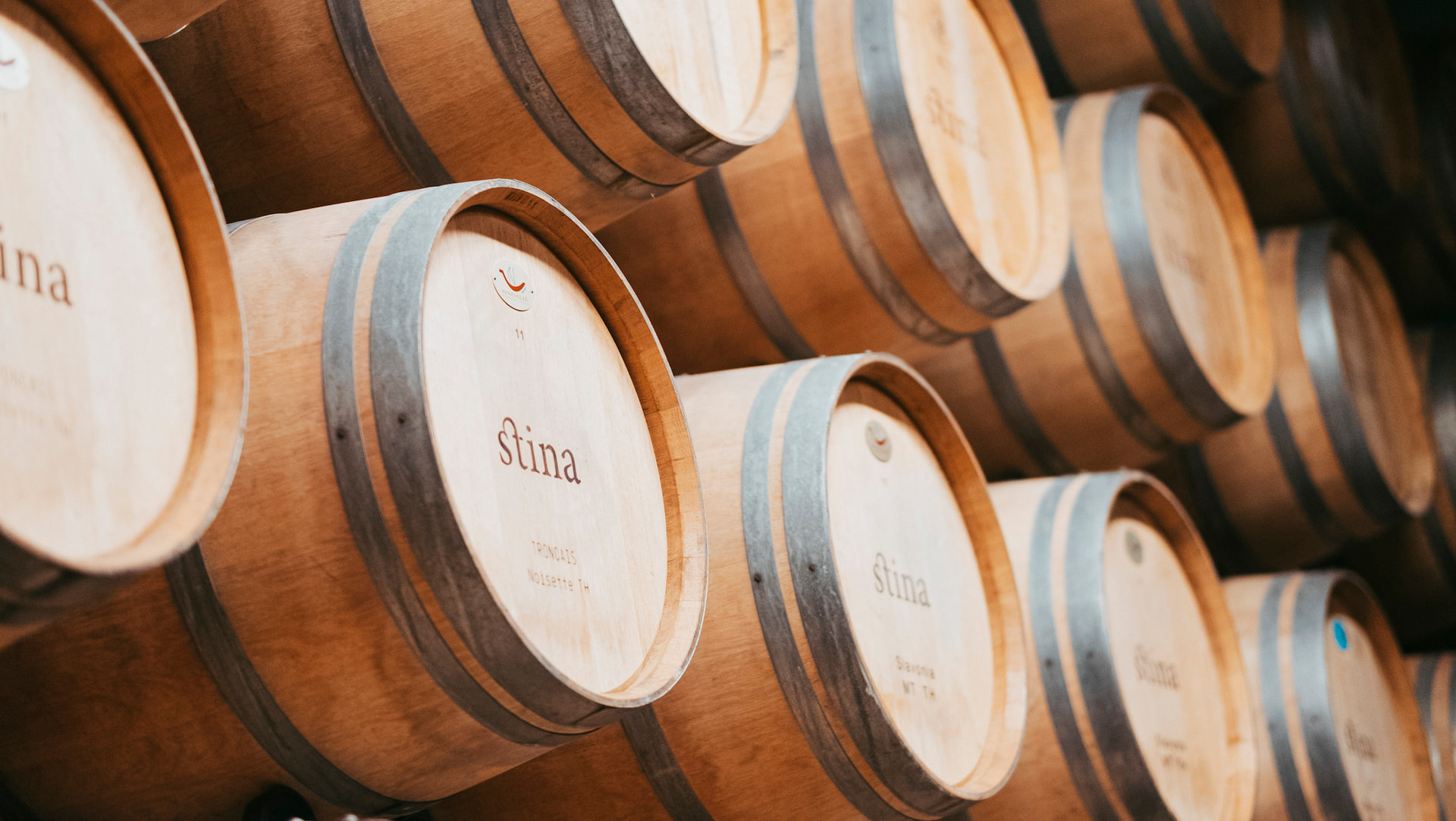 wine barrels stina vinarija